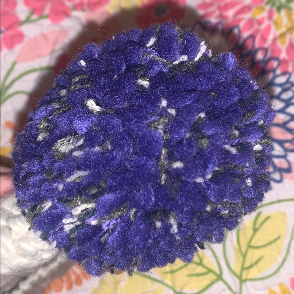 NWT THE NORTH FACE POM BEANIE - Picture 4 of 4